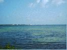 lagunakm5.jpg