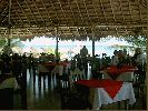 pamul03.jpg