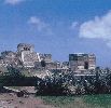 Fichero: tulum10.jpg
Tamaño: 18KB
Dimensiones: 330x320
Fecha de alta: 13 de Ene de 2004 tulum10.jpg