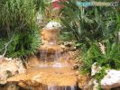 Water Fall