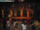 Night Show