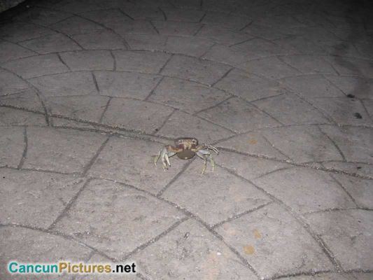 Pulsa aquí para ver la imagen a tamaño completo