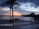 DSC00236.jpg