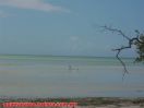 Imagen 004.jpg