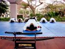 Fichero: elan-resort-aikido.jpg
Tamaño: 29KB
Dimensiones: 400x300
Fecha de alta: 06 de Jul de 2008 elan-resort-aikido.jpg