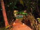 Jungle