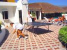 Ping Pong