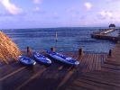Kayaks