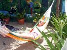 Hammocks