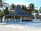 Palapa