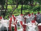 Jardín de Iguanas Meeting Room