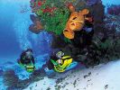 Diving