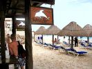 Dolphin Bar