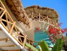 Palapa