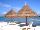 Palapas