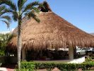 Palapa
