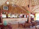 Palapa
