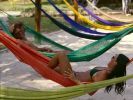 Hammocks