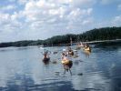 Kayak