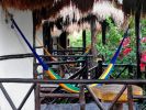 Fichero: Green-Tulum-Riviera-Terrace.jpg
Tamaño: 35KB
Dimensiones: 400x300
Fecha de alta: 13 de Oct de 2011 Green-Tulum-Riviera-Terrace.jpg