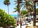 Filename=Hotel-Papaya-Tulum-Rest-Terrace.jpg
Filesize=31KB
Dimensions=400x300
Date added=Oct 13, 2011 Hotel-Papaya-Tulum-Rest-Terrace.jpg