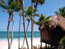 Filename=Papaya-Playa-Carmen-Beach.jpg
Filesize=37KB
Dimensions=400x300
Date added=Oct 13, 2011 Papaya-Playa-Carmen-Beach.jpg