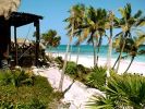 Filename=Papaya-Playa-Carmen-Panoramic.jpg
Filesize=33KB
Dimensions=400x300
Date added=Oct 13, 2011 Papaya-Playa-Carmen-Panoramic.jpg