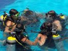 Filename=Sunset-Lagoon-Cancun-Scuba.jpg
Filesize=43KB
Dimensions=400x300
Date added=Aug 20, 2011 Sunset-Lagoon-Cancun-Scuba.jpg