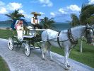 aventura-spa-palace-wedding.jpg