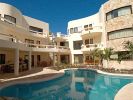 blue-parrot-suites-pool.jpg