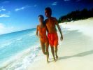 Fichero: catalonia-royal-tulum-playa.jpg
Tamaño: 13KB
Dimensiones: 400x300
Fecha de alta: 11 de Dic de 2008 catalonia-royal-tulum-playa.jpg