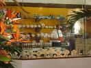 ceiba-del-mar-spa-resort-tienda.jpg