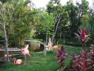 iberostar-cozumel-instalaciones.jpg