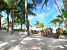 la-palapa-playa.jpg