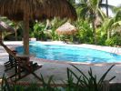 las-palapas-pool.jpg
