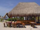 maya-tankah-by-freedom-paradaise-iguanas.jpg
