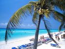 occidental-allegro-playa.jpg