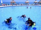 Fichero: occidental-grand-cozumel-buceo.jpg
Tamaño: 28KB
Dimensiones: 400x300
Fecha de alta: 31 de Oct de 2008 occidental-grand-cozumel-buceo.jpg