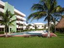 ocean-club-suites-garden.jpg