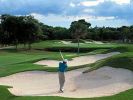Filename=playacar-palace-golf.jpg
Filesize=19KB
Dimensions=400x300
Date added=Nov 20, 2008 playacar-palace-golf.jpg