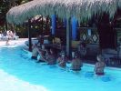 Filename=riu-tequila-poolbar.jpg
Filesize=33KB
Dimensions=400x300
Date added=Nov 27, 2008 riu-tequila-poolbar.jpg