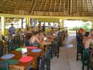 Filename=sandos-carol-beach-resort-and-spa-iguanas.jpg
Filesize=29KB
Dimensions=400x300
Date added=Dec 01, 2008 sandos-carol-beach-resort-and-spa-iguanas.jpg