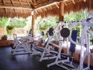 Filename=xpu-ha-palace-gym.jpg
Filesize=29KB
Dimensions=400x300
Date added=Dec 11, 2008 xpu-ha-palace-gym.jpg