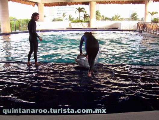 Pulsa aquí para ver la imagen a tamaño completo