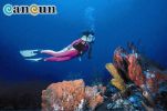 Filename=Buceo_Arrecife.jpg
Filesize=55KB
Dimensions=605x399
Date added=Jan 22, 2004 Buceo_Arrecife.jpg