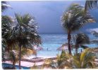 PALMERAS.jpg