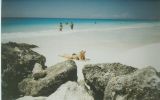 Playa Chac Mool.jpg