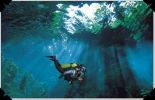 Filename=cenotes.jpg
Filesize=11KB
Dimensions=458x295
Date added=Apr 27, 2005 cenotes.jpg