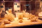Nom du fichier : museocozumel.jpg
Poids du fichier : 10KB
Dimensions : 381x258
Ajouté le : 11 Fev 2004 museocozumel.jpg