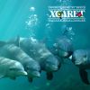 Filename=xcaret-swim-with-dolphins2.jpg
Filesize=63KB
Dimensions=450x450
Date added=Apr 26, 2005 xcaret-swim-with-dolphins2.jpg